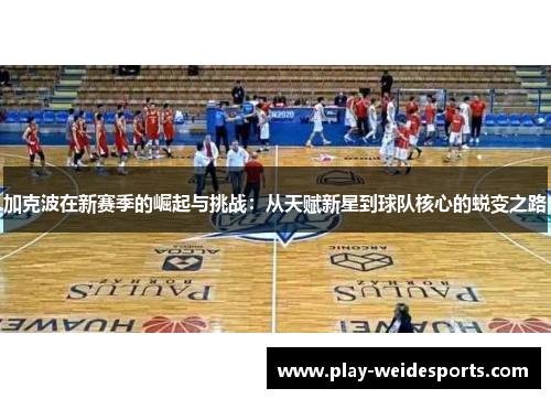 加克波在新赛季的崛起与挑战：从天赋新星到球队核心的蜕变之路